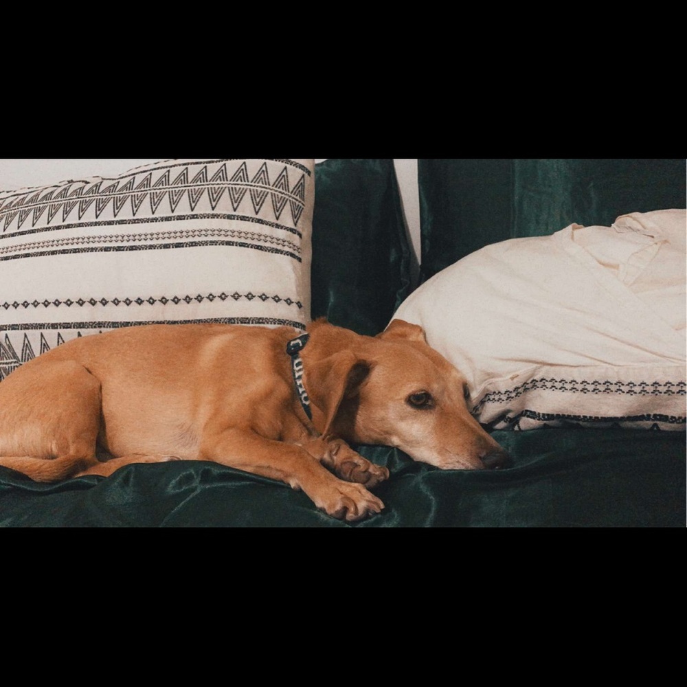 Meet your Posher, Tristan